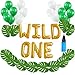 16 INCH Wild ONE Kids First Birthday Balloons with 12 PCS Artificial Palm Leaves, Baby Girl Boy 1st Bday Party Supplies with Air Pump