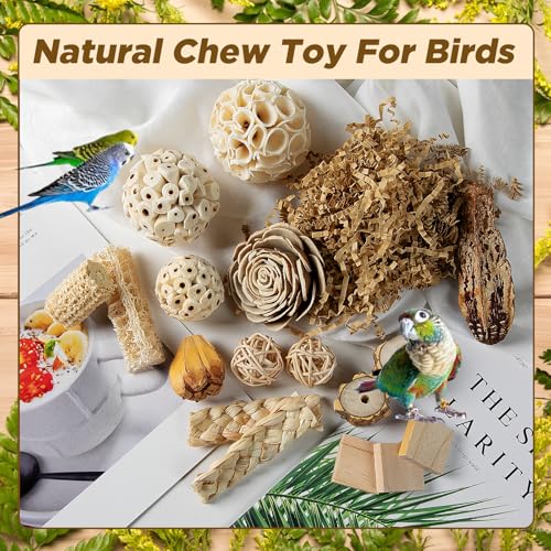 SUSOO Natural Bird Chewing Wooden Toys DIY Set, Safe Shredding Toys with Sola Balls, Wood Blocks, Apple Wood and Pine Cone, Foraging Toy for Parrots, Parakeet, Budgie, Conure,Love Birds and Cockatiel