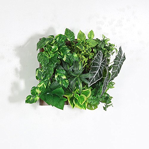 55 以上節約 Arne フェイクグリーン 光触媒 人工観葉植物 観葉植物 壁掛け インテリア 壁掛 インテリアグリーン フェイク ウォールパネル フレーム Botanical A Class 10 ブラウン B01lz7ovvs No 10 ブラウン ブラウン No 10 Moalmada Com