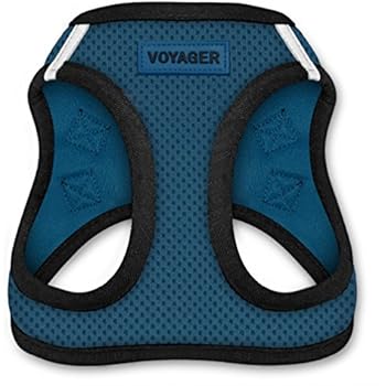 Voyager Step-In Air Dog Harness - All Weather Mesh, Step In Vest Harness for Small and Medium Dogs by Best Pet Supplies - Blue Base, Medium (Chest: 16