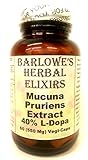 Mucuna Pruriens Extract - 40% L-Dopa - 60 550mg VegiCaps - Stearate Free, Bottled in Glass