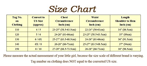 Dressy Daisy Girls' Sleeping Beauty Princess Aurora Costume Fancy Party Dresses Size 6 / 6X