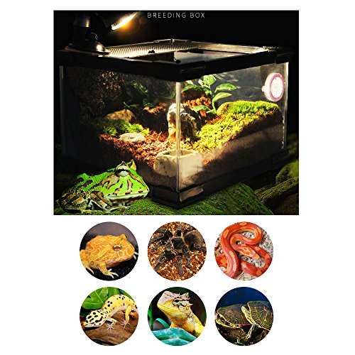 image for BXI Insect Amphibian Reptile Breeding Box - Incubation Terrarium - 10'