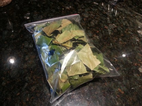 5 Oz Dried, Crushed Loquat Leaf Leaves Tea (Biwa Tea), Cleaned and Fur Removed