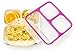 Better Bento Leak Proof Lunch Box (Purple)