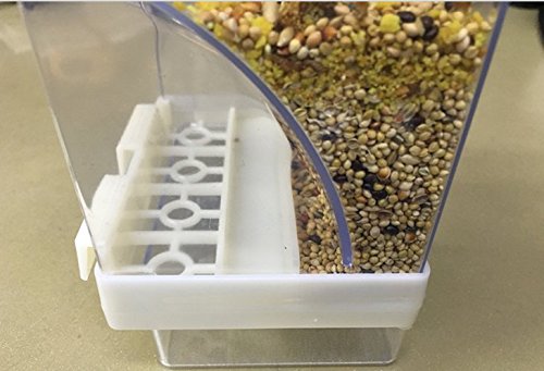 automatic bird feeder