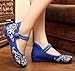AvaCostume Women's Chinese Embroidery Casual Mary Jane Travel Walking Shoes Blue 39