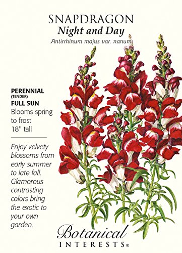 Night and Day Snapdragon Seeds - 100 mg