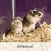 Kaytee Aspen Small Pet Bedding, 226.5 Liters