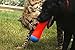 ChuckIt! Tumble Bumper Dog Toy, Medium