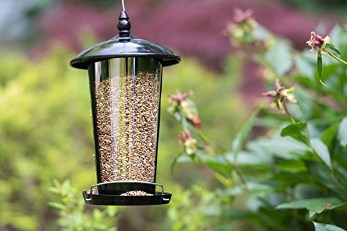 MEKKAPRO Dual Outdoor Hanging Wild Bird Seed Feeder, Weather-Proof, Birds in Your Backyard - Thumbnail 6