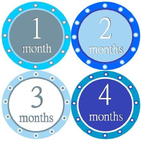 Monthly Stickers Monthly Baby Stickers Monthly Baby Boy Stickers Baby Boy Polka Blue Polka Waterproof Baby Shower Gift