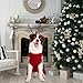Mihachi Christmas Dog Sweater - Winter Clothes with Colorful Snowflake Patterns Soft Knit Keep Warm-L