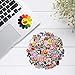 500-Pcs Street Fashion Sticker Decals, Vinyls Stickers for Waterbottle,Snowboard,Luggage,Motorcycle,iPhone,MacBook,Skateboards, Luggage