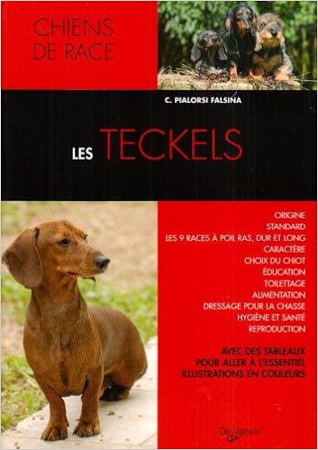 Amazonfr Le Teckel Candida Pialorsi Falsina Nathalie