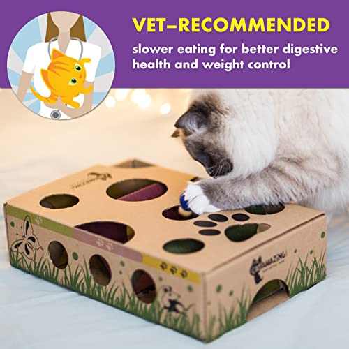 Cat Amazing Classic Cat Puzzle Feeder Interactive Enrichment Toy