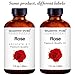 Majestic Pure Rose Oil Absolute, Premium Quality, 1 fl Oz