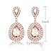 iWenSheng Women Rose Gold Plated Crystal Double Teardrop Bridal Drop Earrings