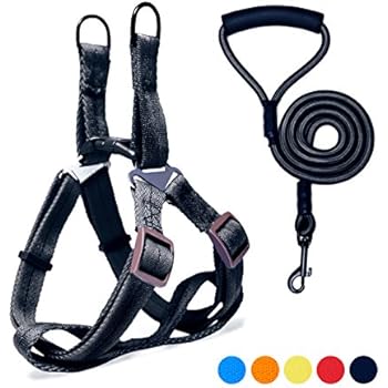 Adjustable Dog Harness Anti-Twist Dog Leash Set for Small Medium Large Dogs, Soft and Durable Vest Harness Leash for Daily Training Walking Running and Easy Control