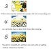 Peyan Oil Painting Diy by Numbers 16
