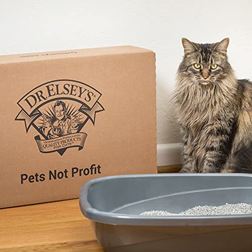 Dr. Elsey's Premium Clumping Cat Litter Clean Tracks Low Dust, Low