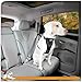 Kurgo Enhanced Strength Tru-Fit Dog Car Harness - Pet Travel Safety Harness - Crash Test Certified Fit - Five Point Adjustment - Secure Buckle - Padded Chest - Black - X-Large