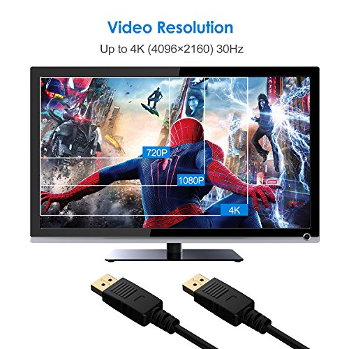 DP-Cable-Rankie-6FT-Gold-Plated-DisplayPort-to-DisplayPort-Cable-4K-Resolution-Ready
