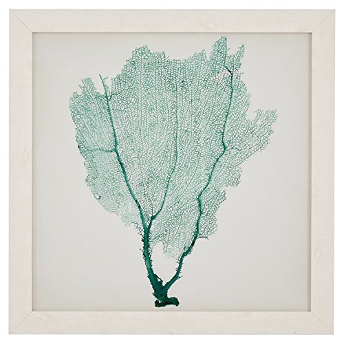 Classic Teal Sea Fan Print, White Frame, 23" x 23"