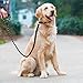 UEETEK Dog Slip Leash Reflective Durable Training Rope Sponge Handle Control P-Leash for Running Walking Hiking
