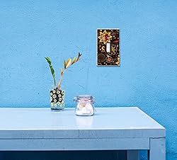 WIRESTER Single Gang Toggle Light Switch Plate/Wall