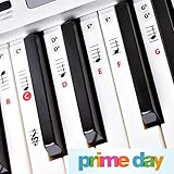 Best Reusable Piano Key and Note Keyboard Stickers for Adults &amp; Children’s Lessons, FREE E-BOOK, Great with Beginners Sheet Music Books, Recommended by Teachers to Learn to Play Keys &amp; Notes Faster! ()