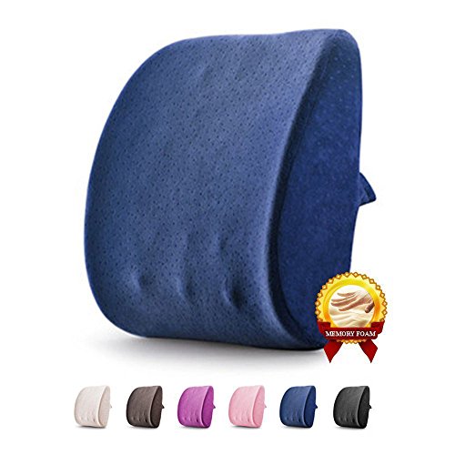 Lumbar Pillow 3D Breathable Memory Foam Back Support Massage Granules Pillow Lumbar Support Pillow Cushion Pillow for Car Office Chair and Travel Pillow for Back Pain and Sciatica (Jazz Blue)