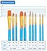 YOUSHARES 10pcs Art Paint Brush Set for Watercolor, Oil, Acrylic Paint / Craft, Nail, Face Painting