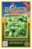 Everwilde Farms - 1000 Sweet Basil Herb Seeds