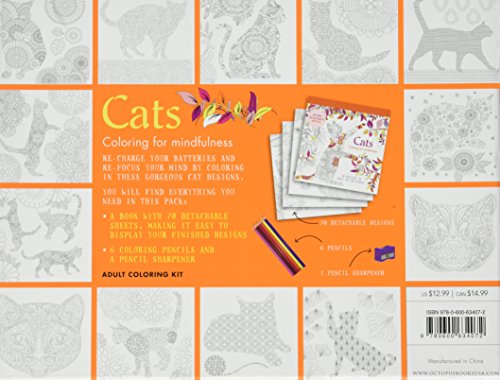 Cats coloring kit