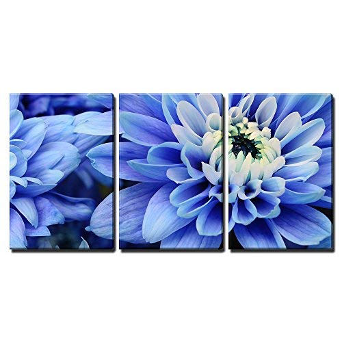 Close Up of Blue Petals Pistils and White Heart Flower of Aster for Background or Texture Home Art x3 Panels