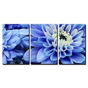 3 Piece Canvas Wall Art - Close Up of Blue Petals, Pistils and White Heart Flower of Aster for Background or Texture - Modern Home Art Stretched and Framed Ready to Hang - 16"x24"x3 Panels