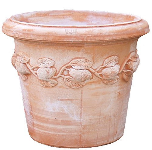 Terracotta Siena Conca Limoni 25 Vaso Di Fiori Vaso Fioriera