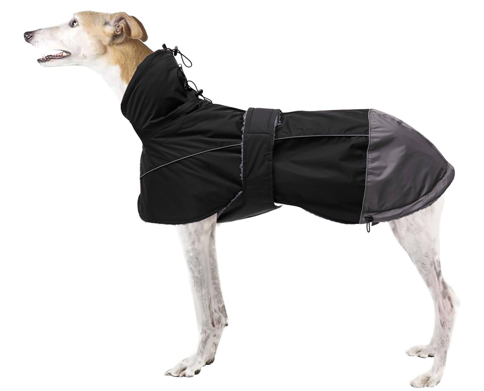 Morezi Greyhound Lurcher Winter Coat, Whippet Jacket with Padded Fleece, Water Resistant Dog Snowsuit with Adjustable Bands and High Reflective be Safety - Black - S
