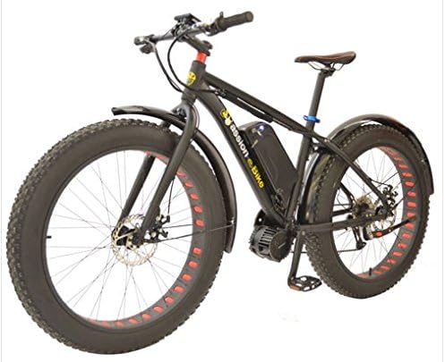 Passion Ebike Electric Fat Bike - 48v, 1000 watt, Bafang BBSHD Mid Drive