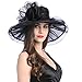 Women’s Organza Church Kentucky Derby Fascinator Tea Party Wedding Hat