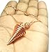 9 Ring Coil Pendulum, Spiral Pendulum, Copper Metal Pendulum, Cone Shape Designer Pendulum, Divination Pendulum, Healing Dowsing Pendulum.