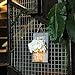 Rustic Mason Jar Wall Decor Sconces - Decorative Home Lighted Country House Hanging with LED Fairy Strip Lights and Flowers Handcrafted Farmhouse Sconce Jars (Set of 2) (Mason Grey)