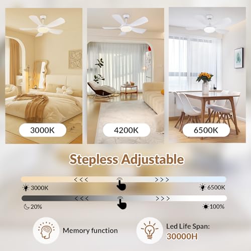 Newday 42 White Ceiling Fan with Remote Control, Dimmable LED, Reversible 5 Blades, Quiet DC Motor, 6 Speeds, Memory Function for Bedroom, Living Room, Patio
