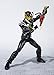 Bandai Tamashii Nations S.H. Figuarts Night Rogue 