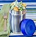 Ecopod 16-Ounce Stainless Steel Insulated Thermos Food Jar, Blue