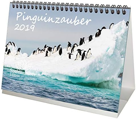 Penguin Magic – DIN A5 – Premium Kalender/Calendar 2019 – Penguins – Sea – Diving – Ocean – – Animals – 1 and 1 Christmas Greeting Card – Edition Soul Magic Gift Set