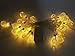 Baihemiya Gold Moroccan LED String Lights Curtain Christmas Light for Indoor, Bedroom, Patio, Lawn, Landscape, Fairy Garden, Home, Wedding, Holiday, Christmas Tree, Halloween, Party (Length 4m)