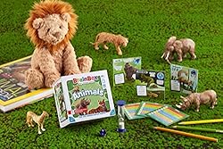 Green Board Games BrainBox