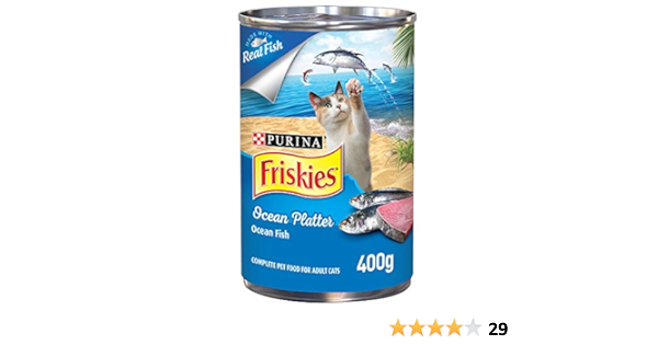 wireless dog fence custom boundary